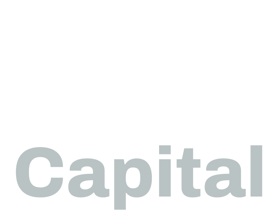 R3i Capital